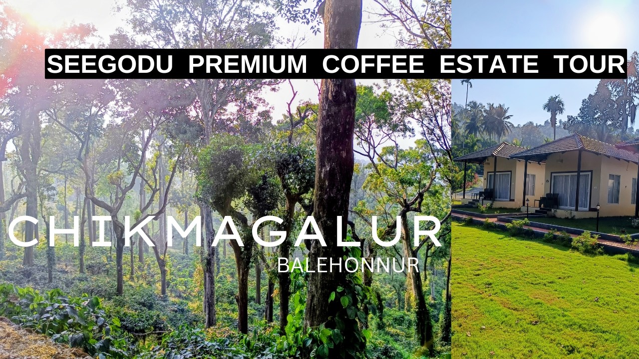 Chikmagalur| Seegodu Premium Coffee Estate tour| 60 kms from Chikmagalur| Bhadra River view point|