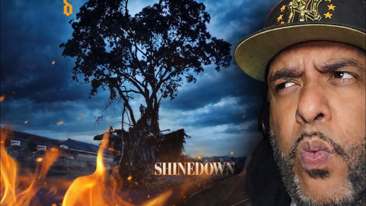 “This Is Rock Music at Its Finest 🔥 | Shinedown – Simple Man”