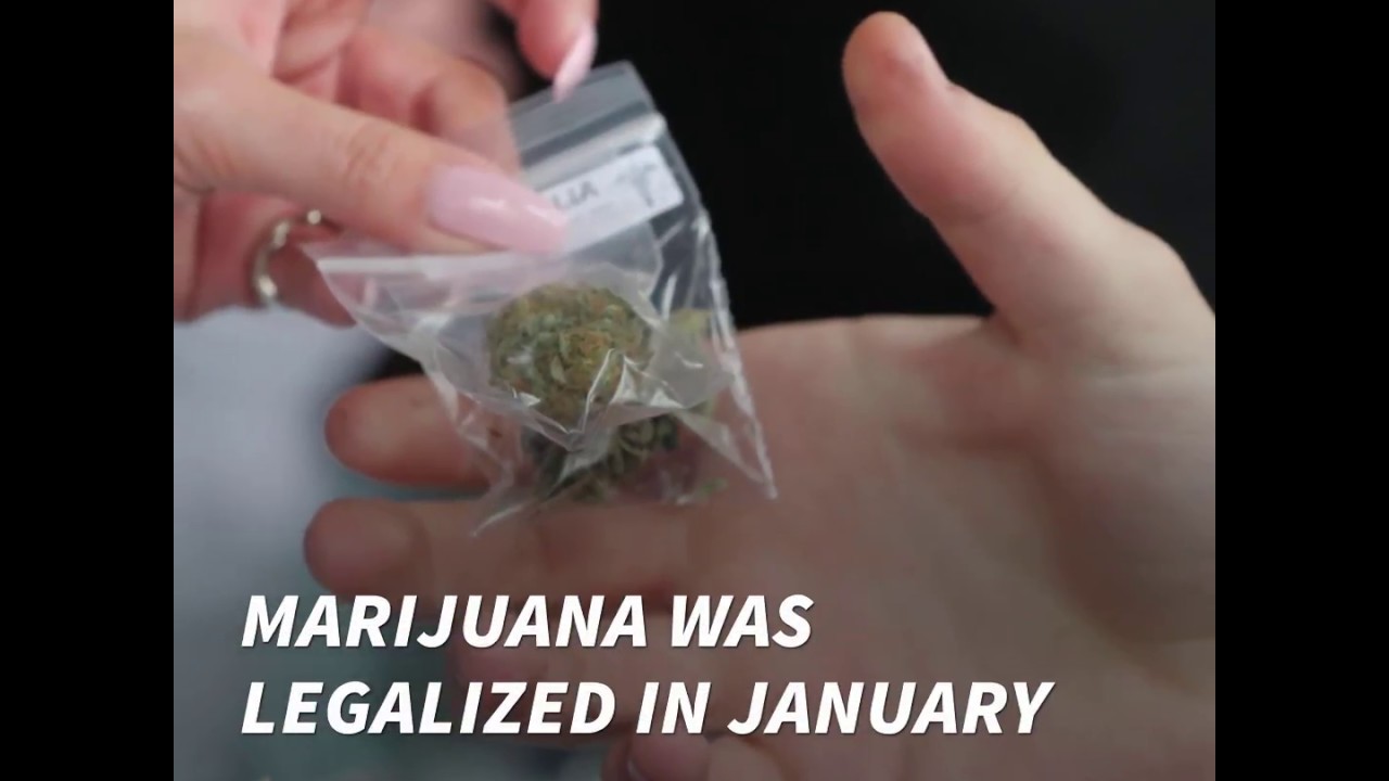 Maine Dispensary Trades Weed for Trash in Community Clean Up Effort