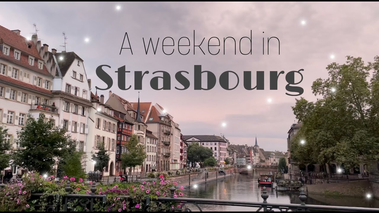 VLOG Weekend in Strasbourg / Countryside Escape, Wine Tasting, Mirabelle Jam