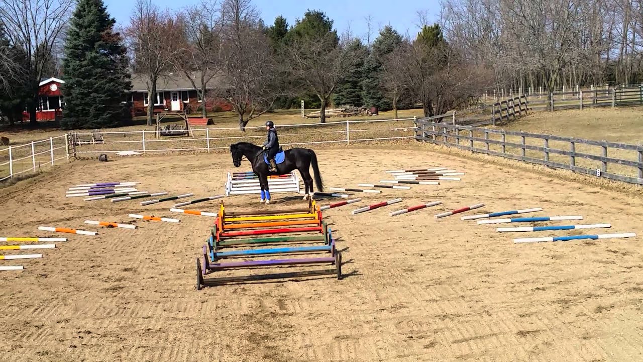 Tristan the Wonder Horse and more fun with poles!