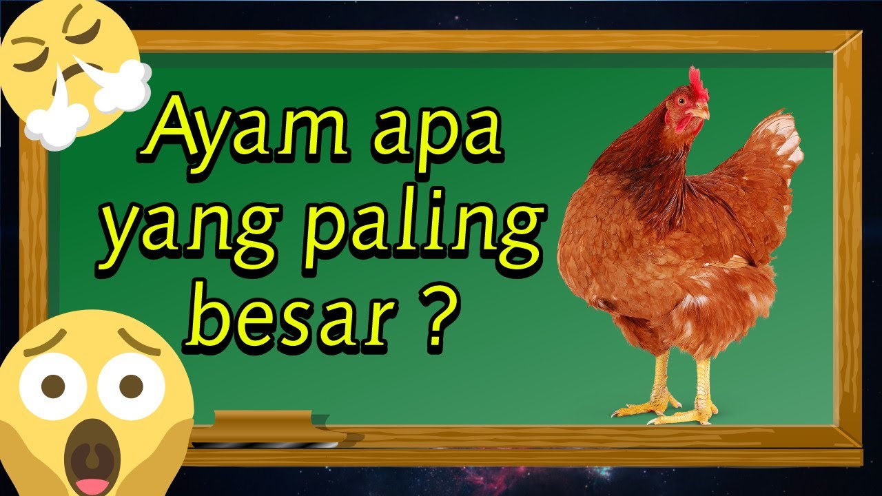 10 Teka Teki Lucu dan Menjebak Part 18 #SuryaOxs #TipsPintar