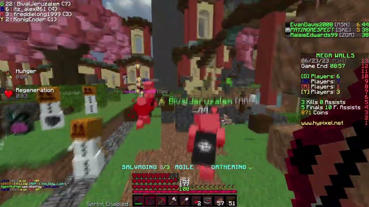 AN ABSOLUTE SKELETON MASSACRE | Mega Walls
