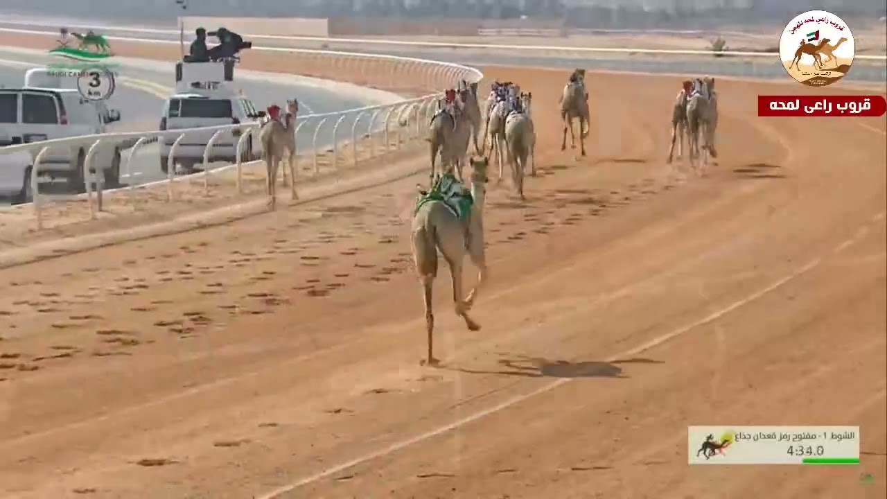 ش1( كأس بكار مفتوح )(دندنه) لـ سمو الشيخ ذياب سيف خليفة ال نهيان 9:03:99مهرجان خادم الحرمين الشريفين
