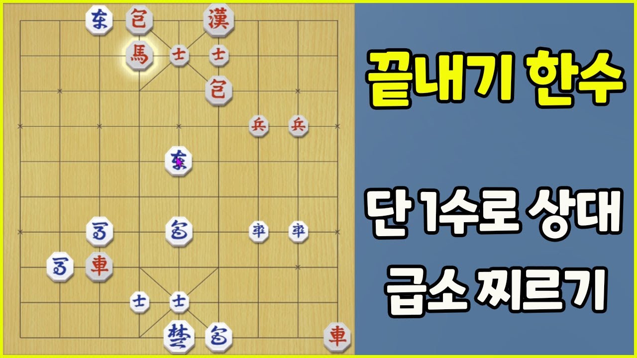 급소 찌르기!! 치명적 한 수..과연 무엇일까요? (슈이비닝 장기)
