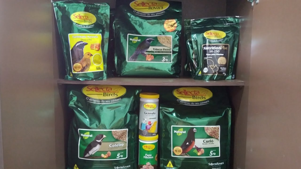 um bom manejo na criação de pássaros começam pela alimentação.