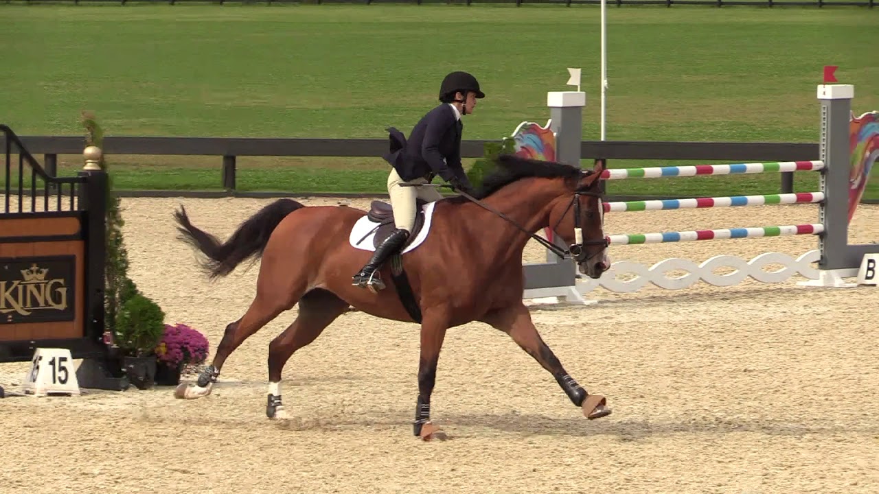 Bravo ridden by Rachel Rosenthal | 1.20m Jumpers | Princeton Show Jumping | 9/20/17