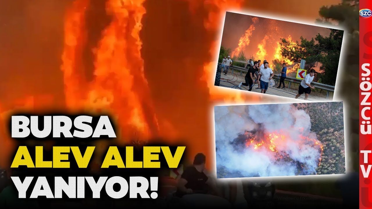 Uçak Yok Ekipman Yok! Bursa Göz Göre Göre Alevlere Teslim! İşte Yürekleri Burkan Görüntüler