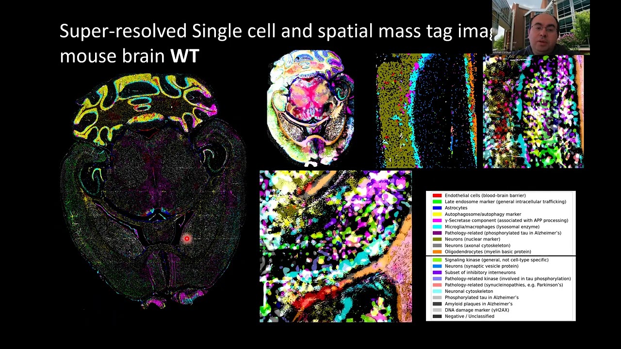 Spatial interactomics: Decoding tissue function by signaling and metabolism in single cells