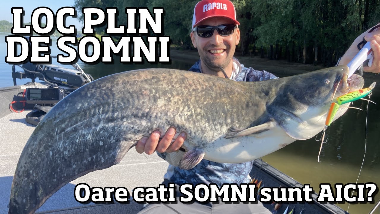 AM GASIT un LOC PLIN de SOMNI pe DUNARE! DRILURI DE VIS cu SOMNI BATAIOSI la VOBLERE 🔥🔥