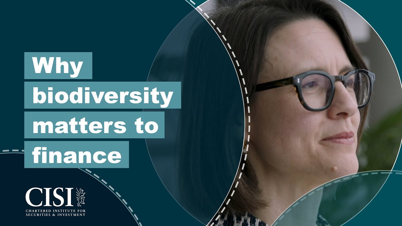 Why biodiversity and nature matter to finance