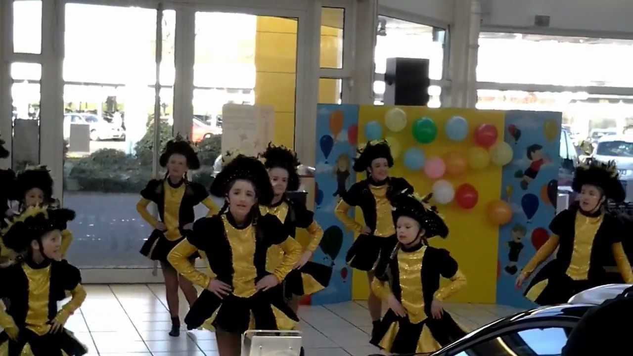 Siegburger Ehrengarde.mp4