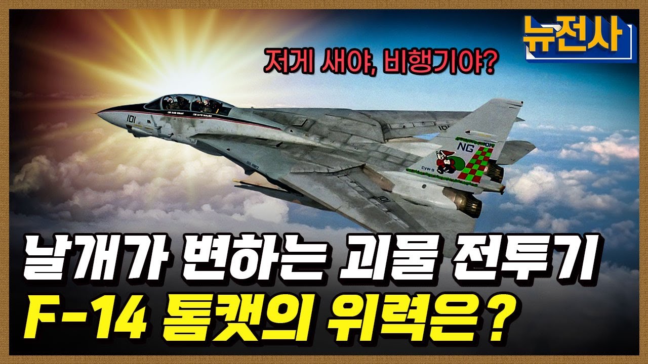 [228회] 바다 위의 지배자, 함재기 2부ㅣ뉴스멘터리 전쟁과 사람 / YTN2 밀덕스