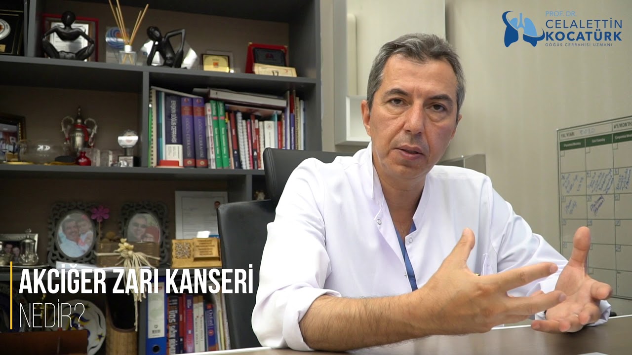 Akciğer Zarı Kanseri Nedir?