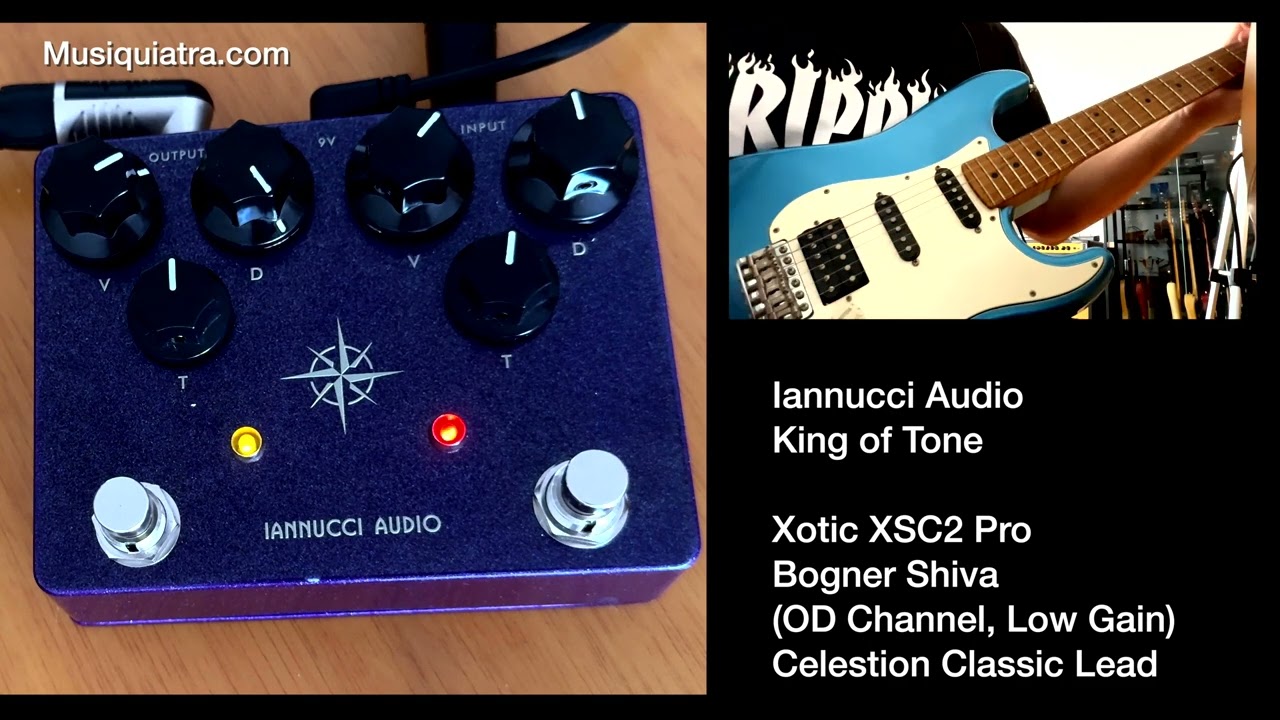 King of Tone: Test en detalle del Iannucci Audio KoT