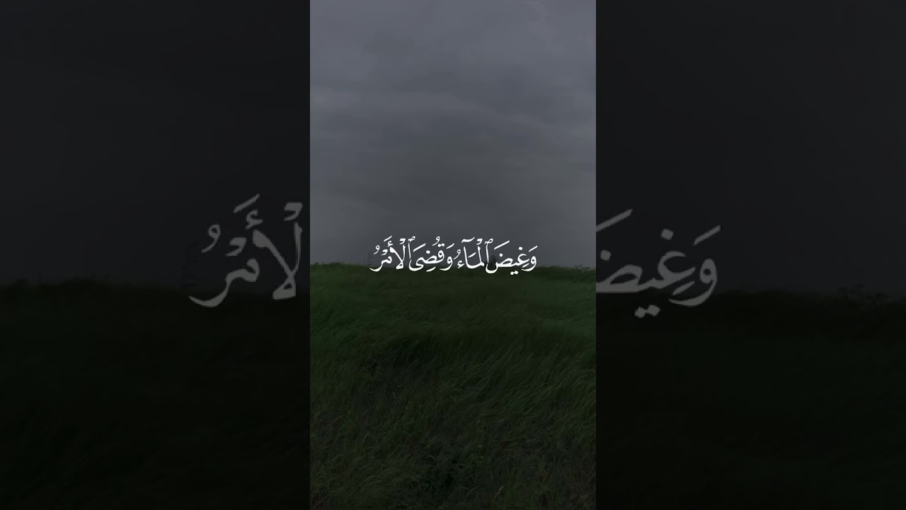 استمع إلى هذه التلاوة الإبداعية بمحاكاة اللحيدان للقارئ عبدالرحمن ناجي سورة هود #عبدالرحمن_ناجي