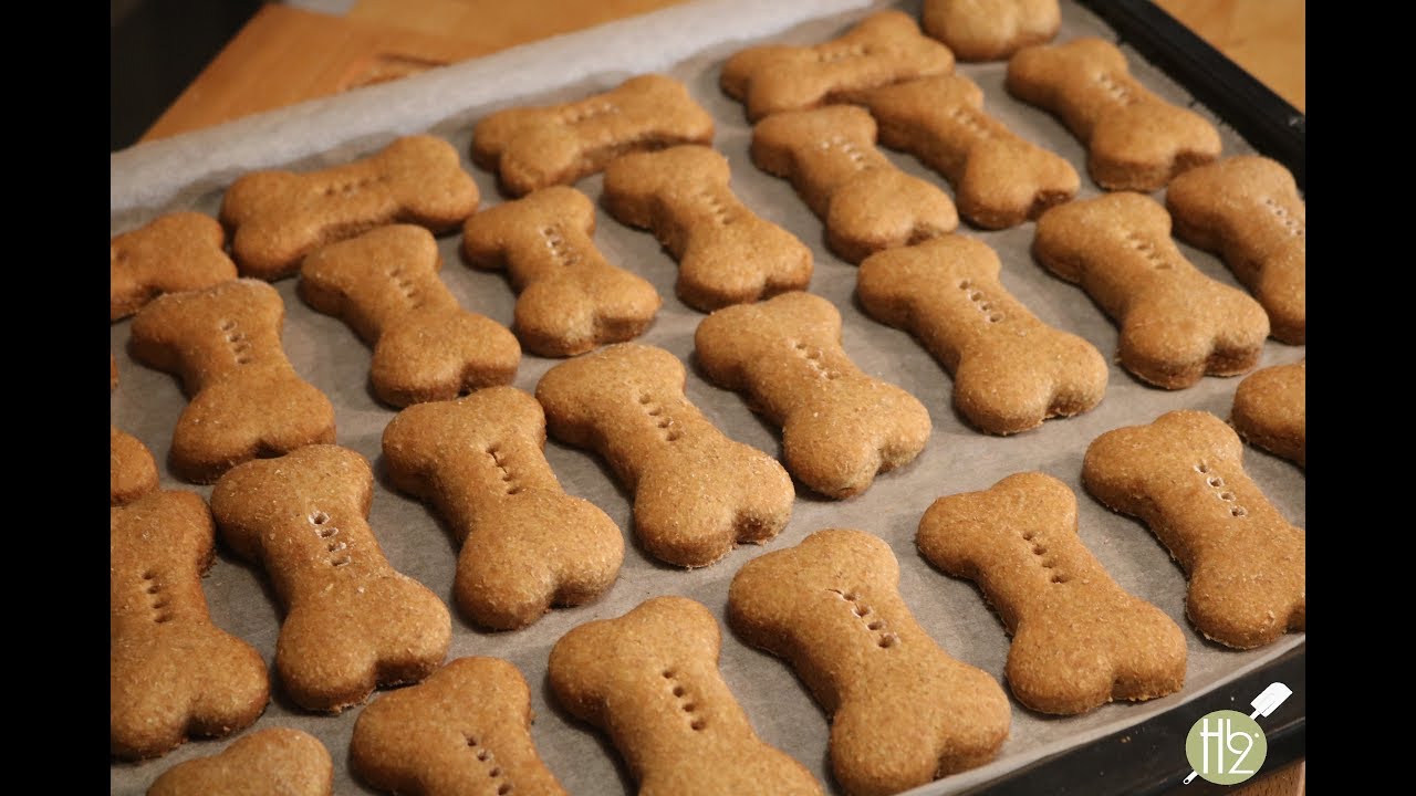Domaći pseći kolačići - Psi ih OBOŽAVAJU! (+Reakcije pasa)  / DOG TREATS