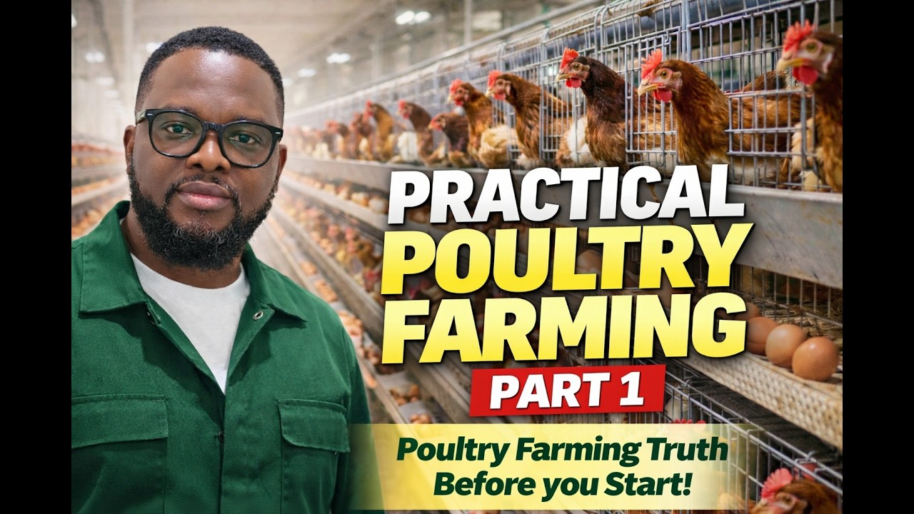 Avoid Costly Mistakes  Practical Poultry Training for New Farmers Part 1