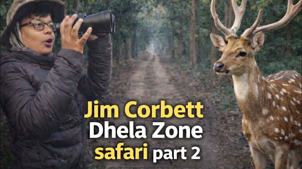 Jim corbett Dhela Zone Safari Part 2