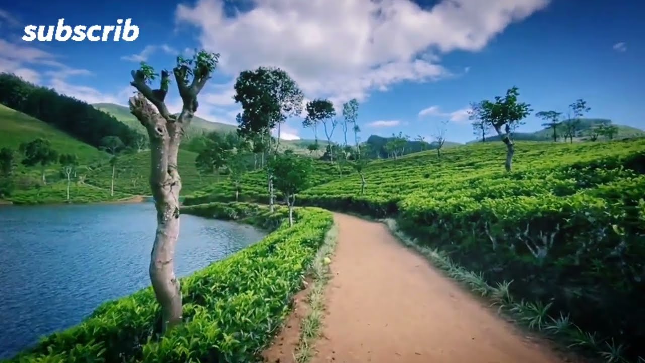 Sembuwaththa lake | Travel to sembuwaththa | Sembuwaththa Srilanka
