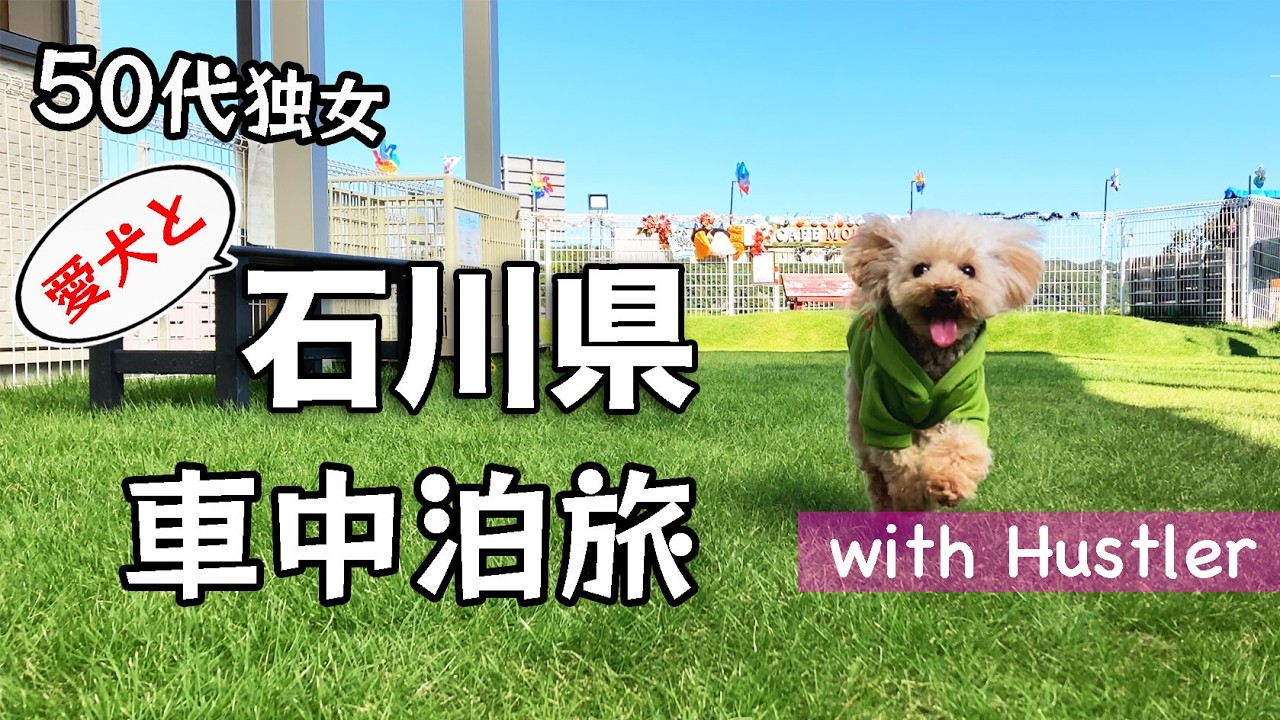 愛犬と軽自動車 ハスラーで車中泊3日目 石川県の旅｜car camping in Ishikawa