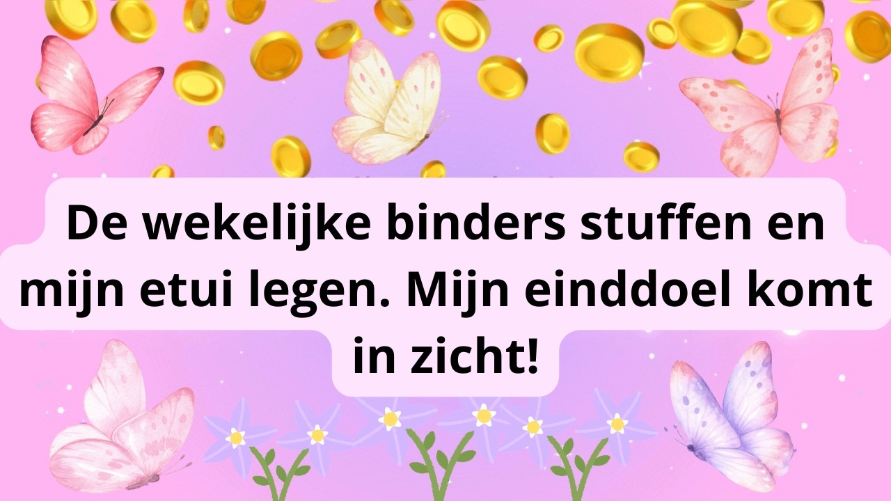 De wekelijkse binders stuffen en mijn etui legen !!! Mijn einddoel komt in zicht !