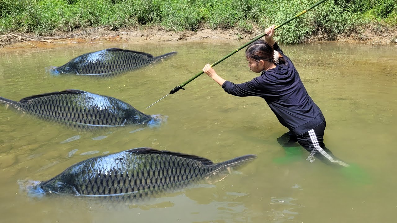 Meet the giant fish in a pool at the mouth of the river. Use bamboo and iron as a tool to catch fish