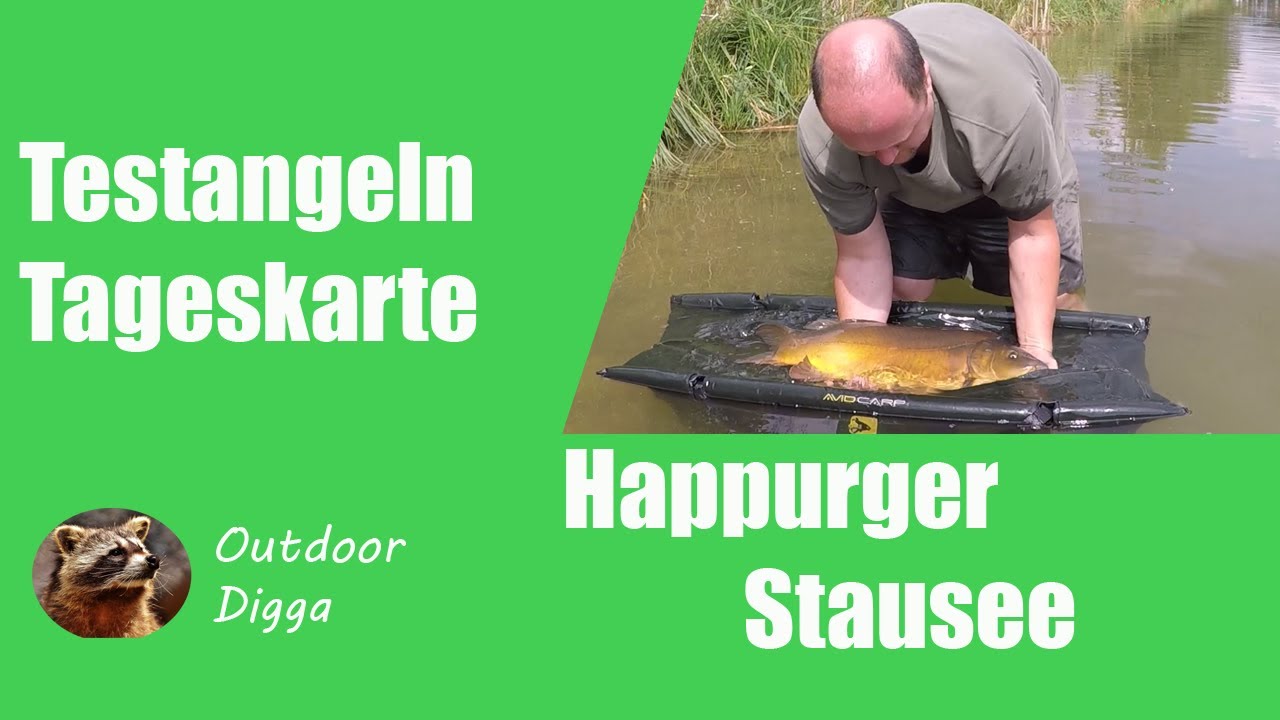 Testangeln Verbandsgewässer Tageskarte Happurger Stausee