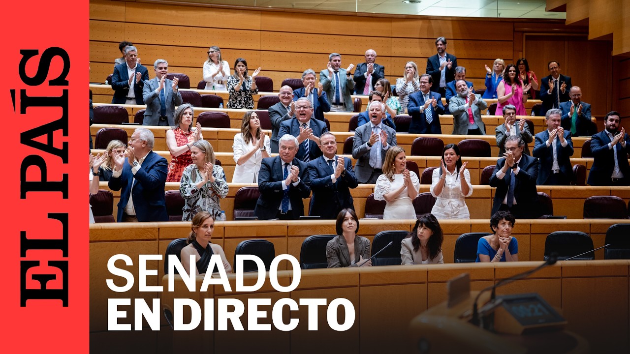 DIRECTO | Sesión de control Senado | EL PAÍS
