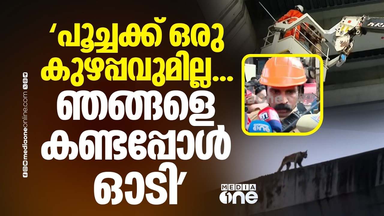 'പൂച്ചയെ കണ്ടു...പൂച്ചക്ക് ഒരു കുഴപ്പവും ഇല്ല...ഞങ്ങളെ കണ്ടപ്പോൾ അങ്ങോട്ട് ഓടി'