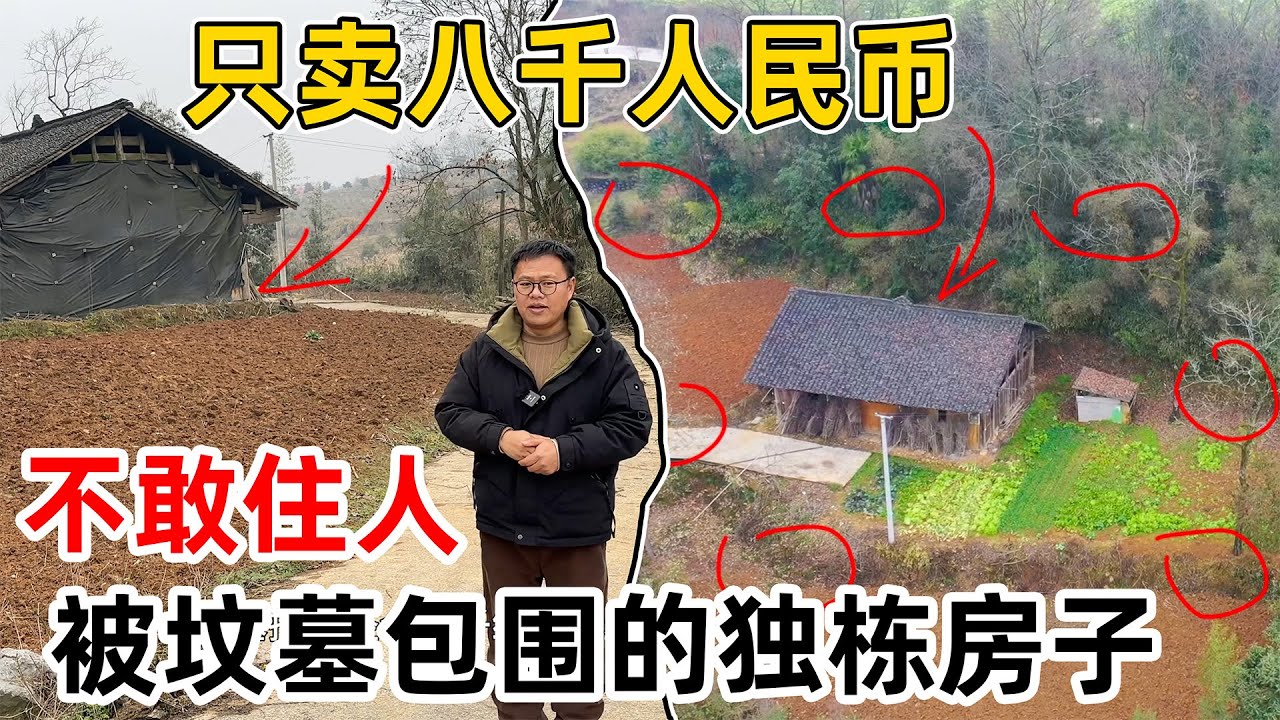 被坟墓包围的木瓦房，独门独院，主人家不敢住 想卖8000元 石头看了很头疼