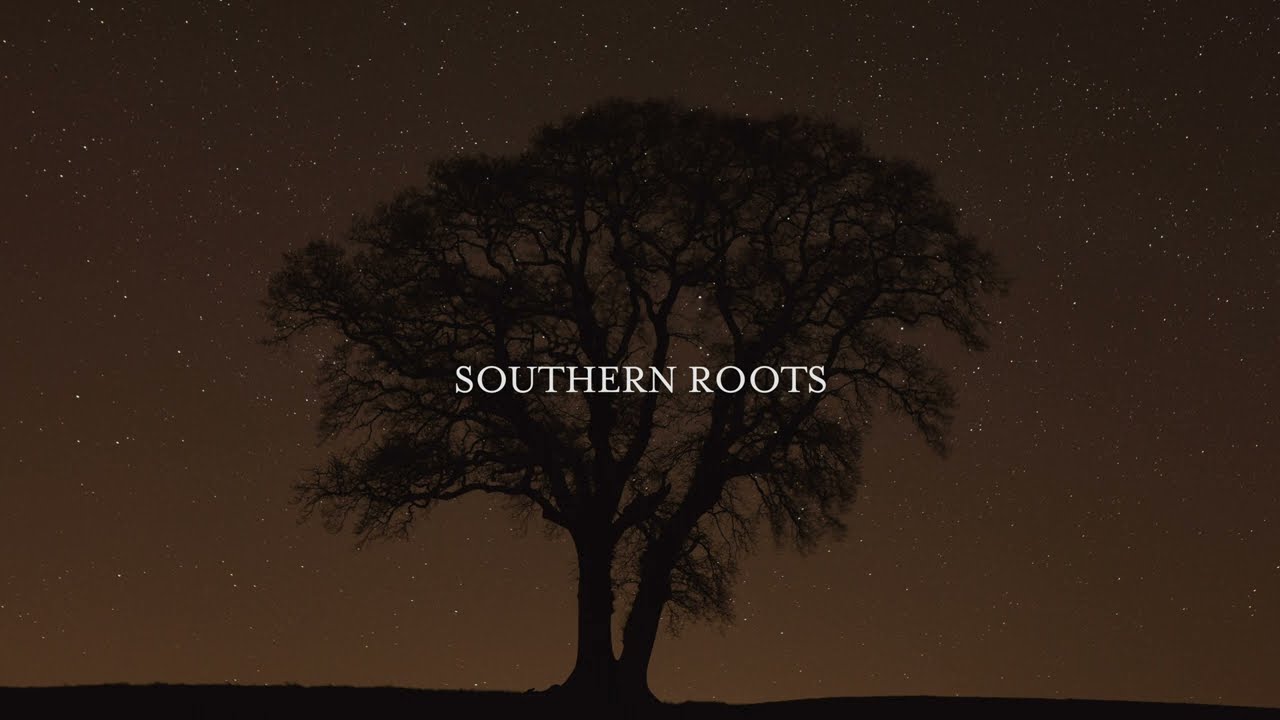Patrick Davis - Southern Roots (Official Lyric Video)