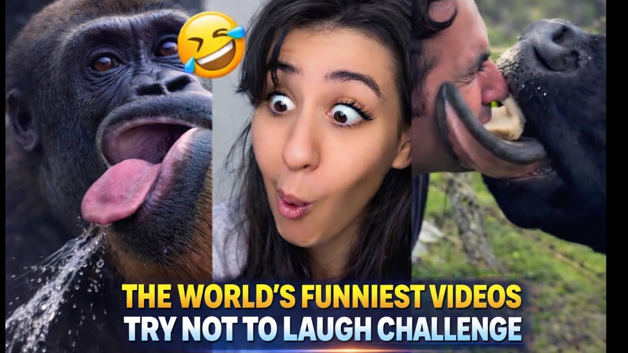 2026 BEST Nina Reacts Funny Try Not To Laugh Challenge Compilation 🤣 Part 14