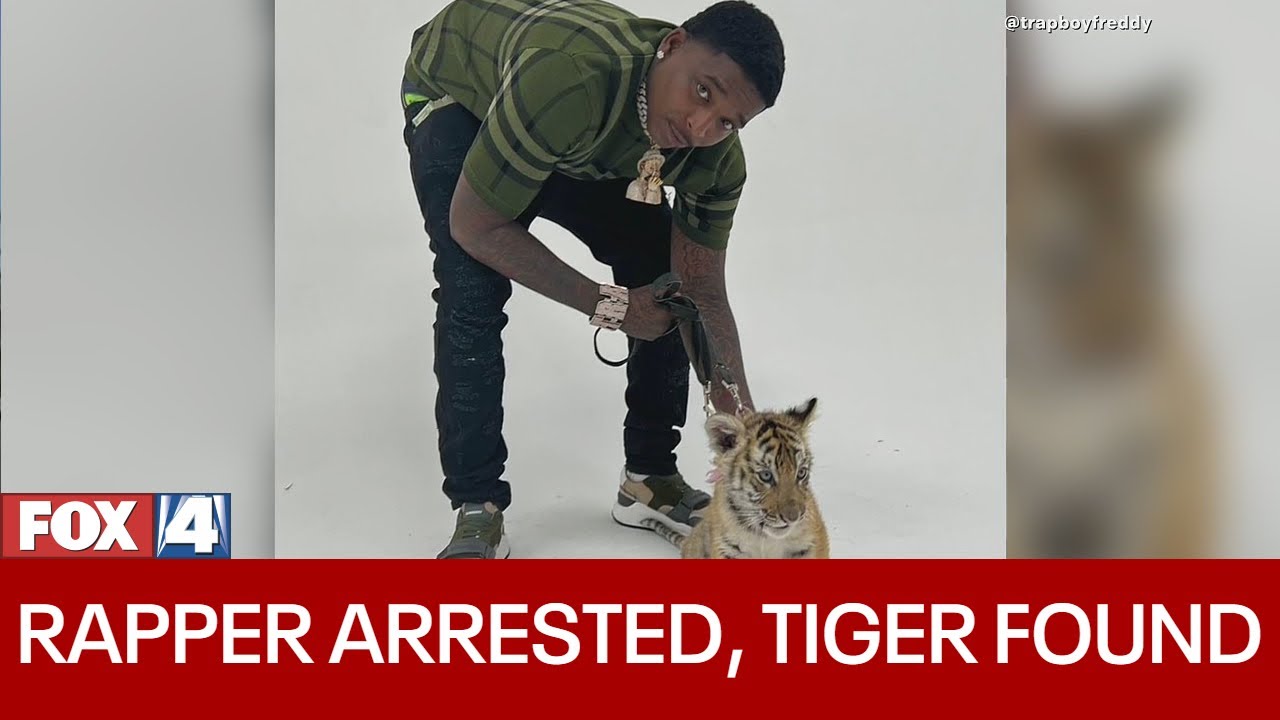 Rapper Trapboy Freddy arrested after police find tiger cub while serving warrant in Dallas