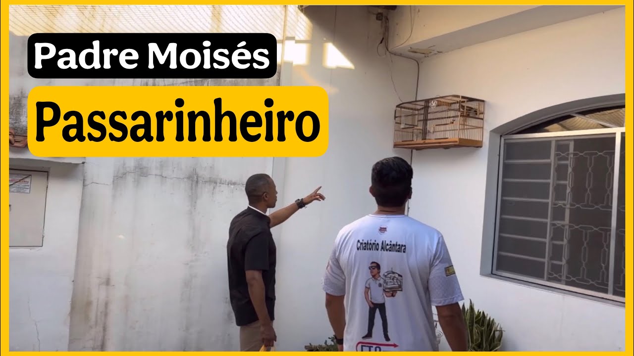 Padre Criador de Coleiro Papa-Capim | Fé, Paixão e Amor pelos Pássaros 🐦🙏