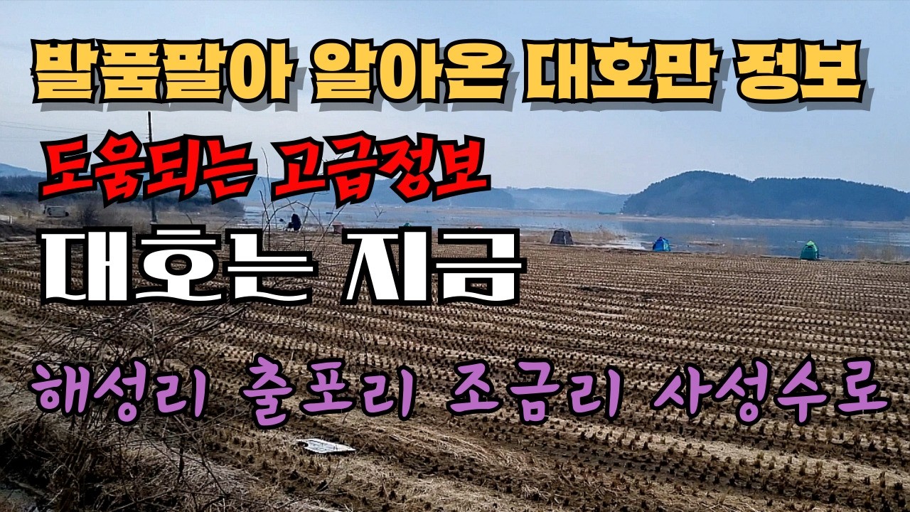 따끈따끈한 대호만 정보  상류권 현상황과 조황 보고 #fishing #낚시