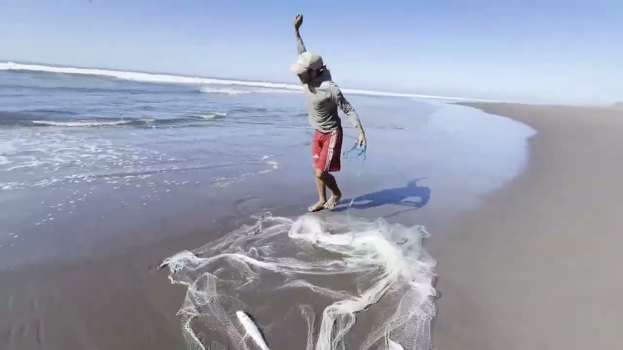 Chelo se acabo los sábalos 