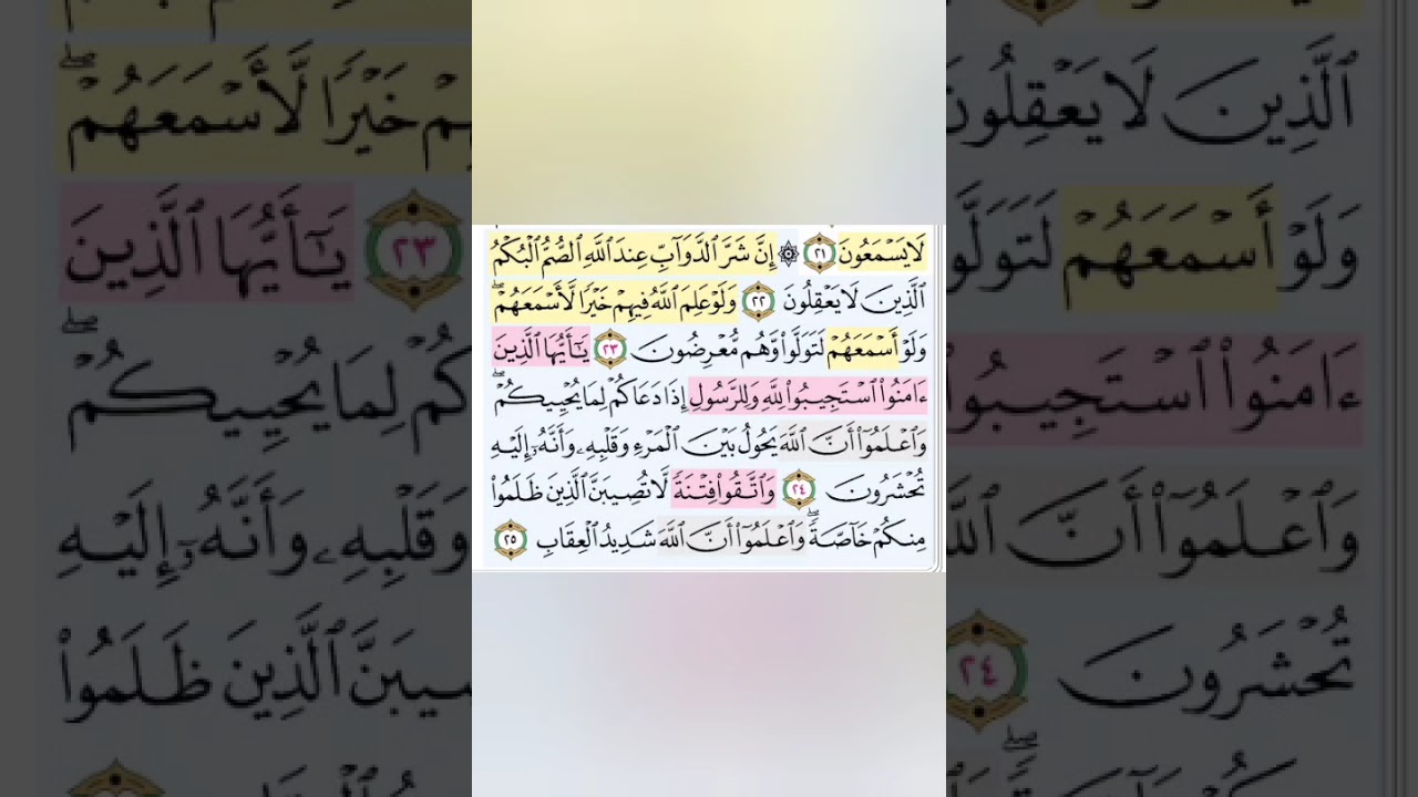 تيسير حفظ سورة الانفال بالتكرار ربع (ان شر الدواب) مكرر 3 مرات بصوت الشيخ عبد الباسط