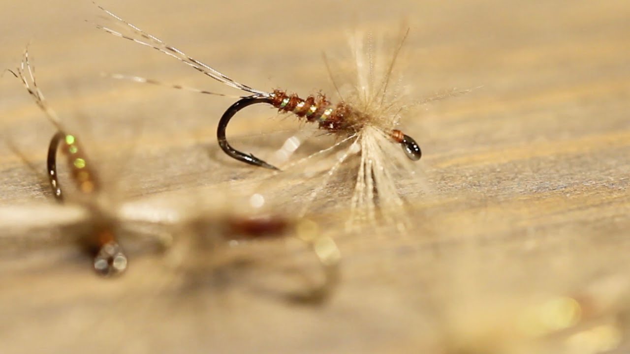 Spent Spinner med Svein Røbergshagen