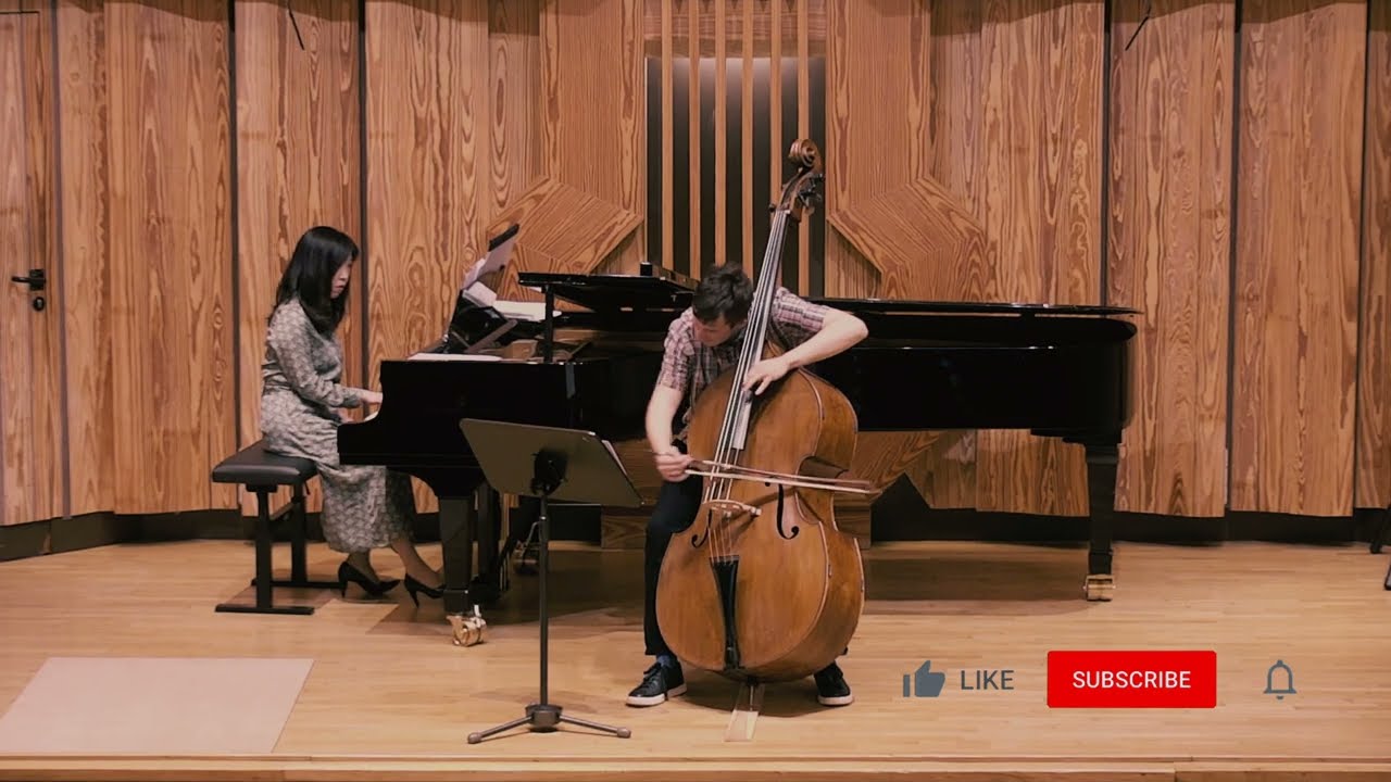 Adolf Misek Concert Polonaise Excerpt
