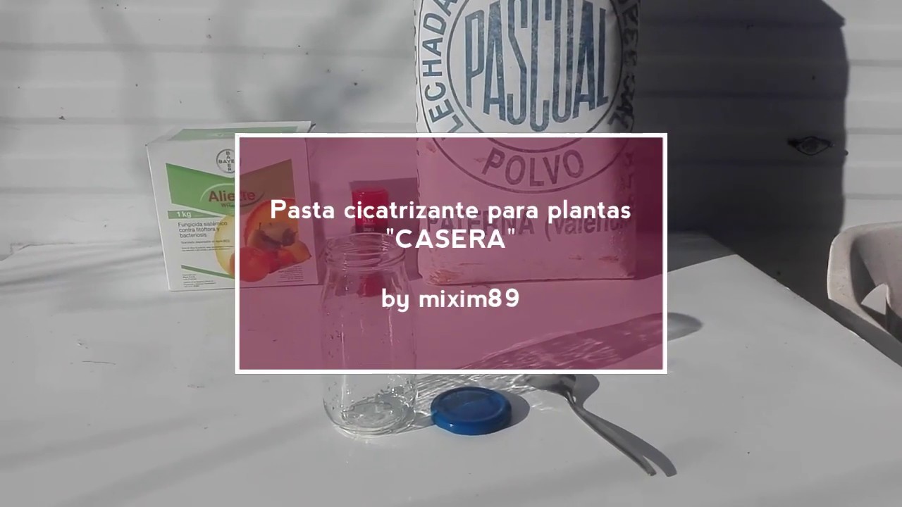 🌳🏥Pasta cicatrizante para plantas casera by mixim89