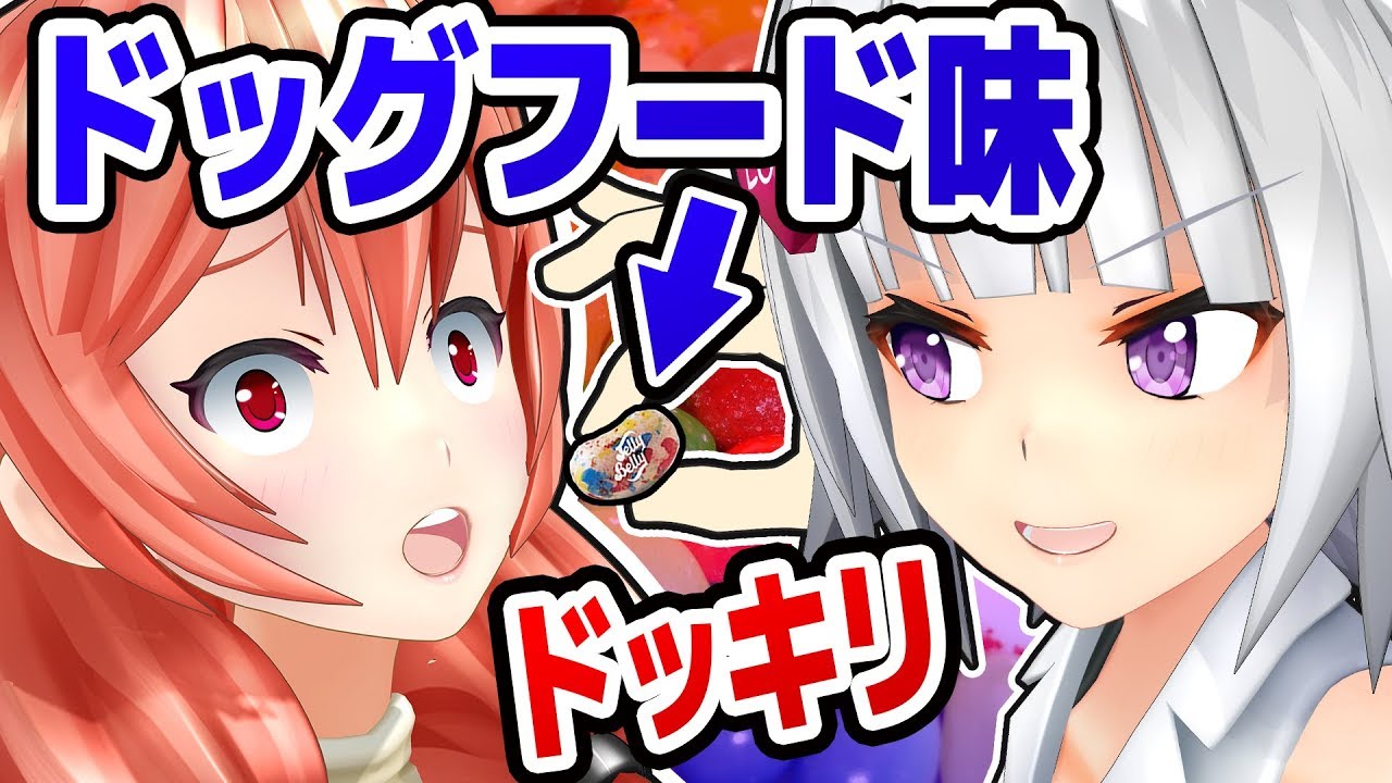 【ドッキリ】ドッグフード味のお菓子にエイレーンさんは気づくのか検証！！！
