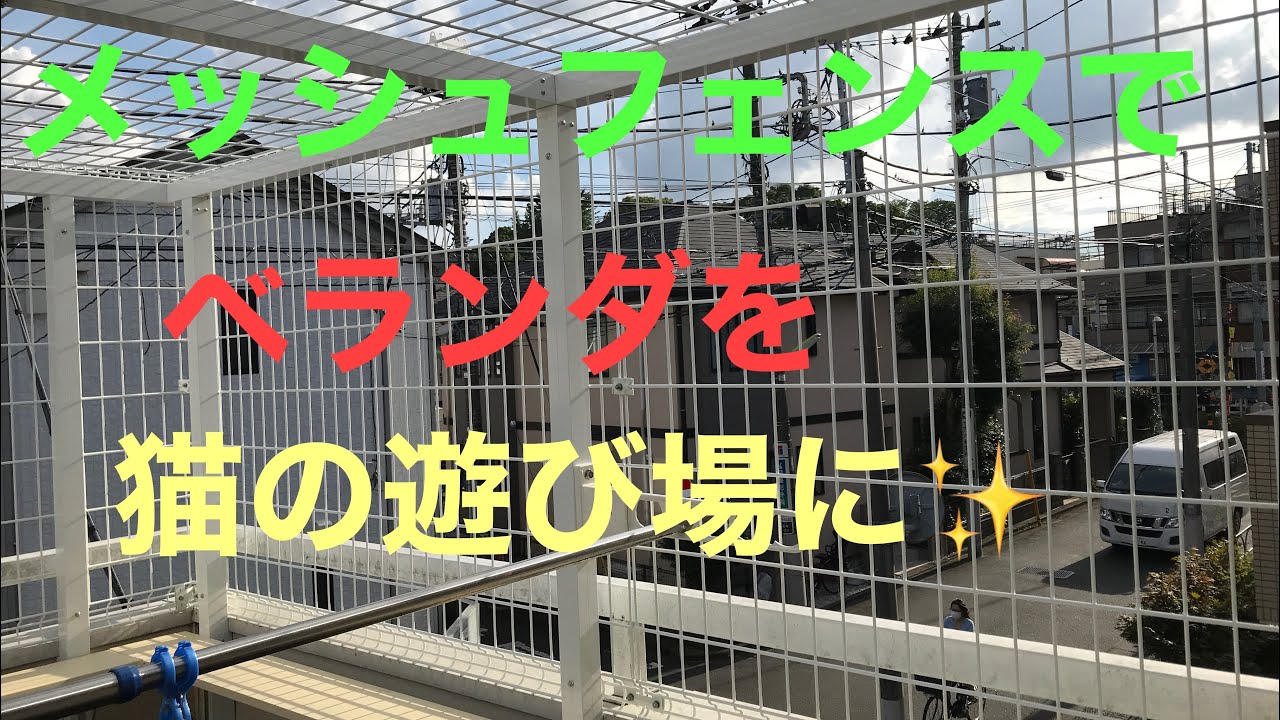 【ベランダをメッシュフェンスで囲って】キャットウオーク付きの保護猫たち遊び場に✨の巻