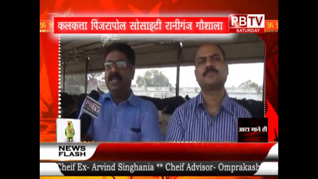 pbtv Live