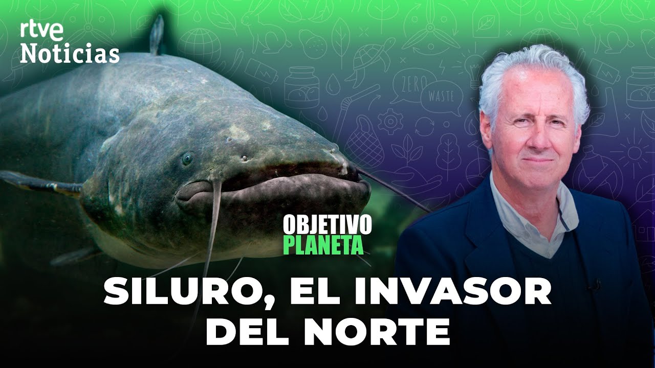 OBJETIVO PLANETA: LORENZO MILÁ y el SILURO, un PROBLEMA con FORMA de PEZ | RTVE