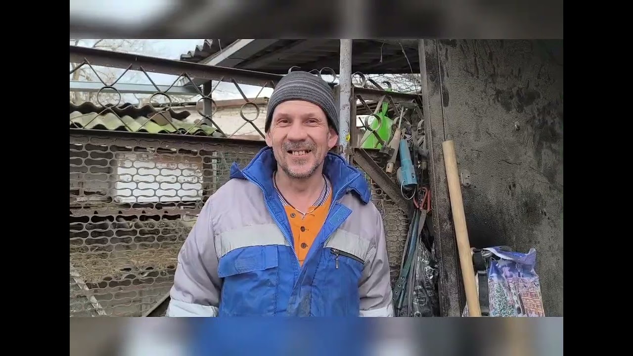 Какие добавки даем курам. Продаем цыплят.