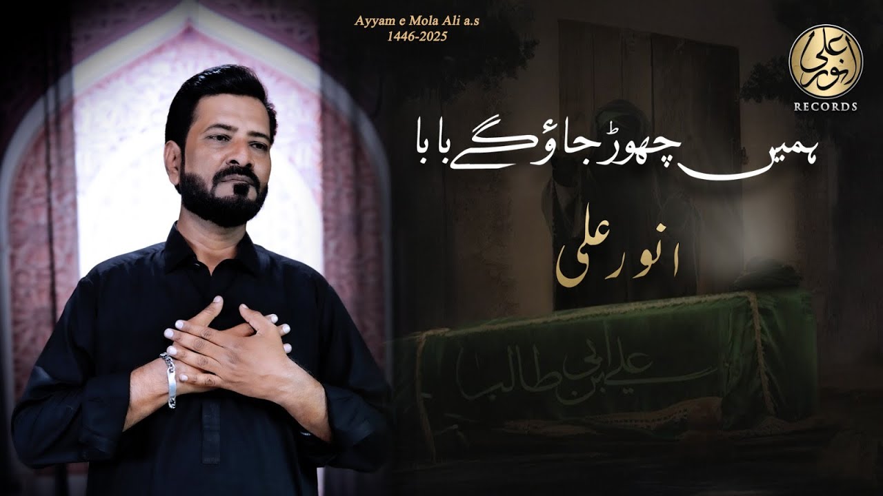 Hamein chore Jo gaye baba | Anwer Ali | Ayyam e ALI 1446 2025