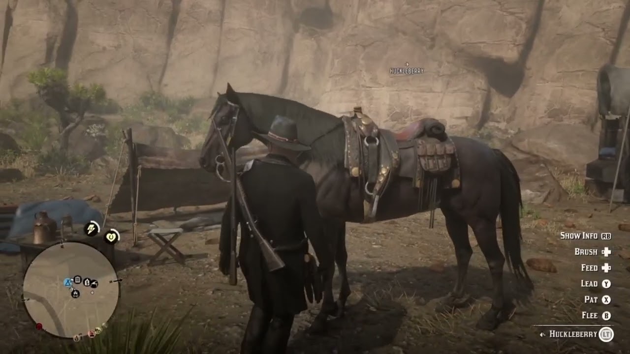 Rdr2 random online clips