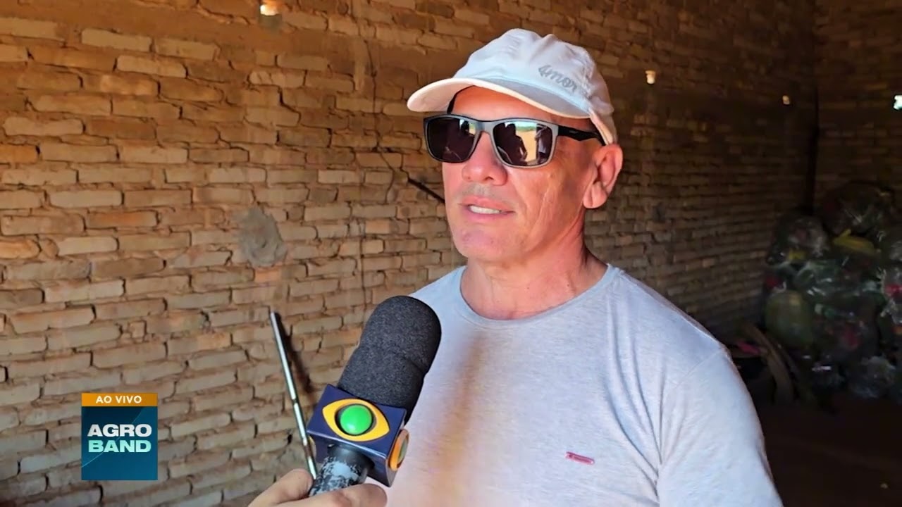Umbu conheça mais do fruto típico da Caatinga: Conheça mais do fruto típico da caatinga