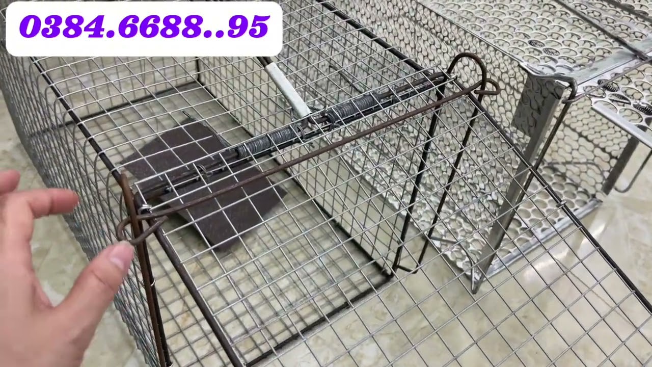 💥💥LỒNG BẪY THÚ RỪNG KÍCH THƯỚC LỚN - THÉP KHÔNG RỈ DÀY DẶN CÓ QUE CẮM MỒI ☎️0384.6688.95